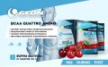 BCAA Quattro Amino